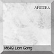 Akrilika - Apietra - Lion Gong